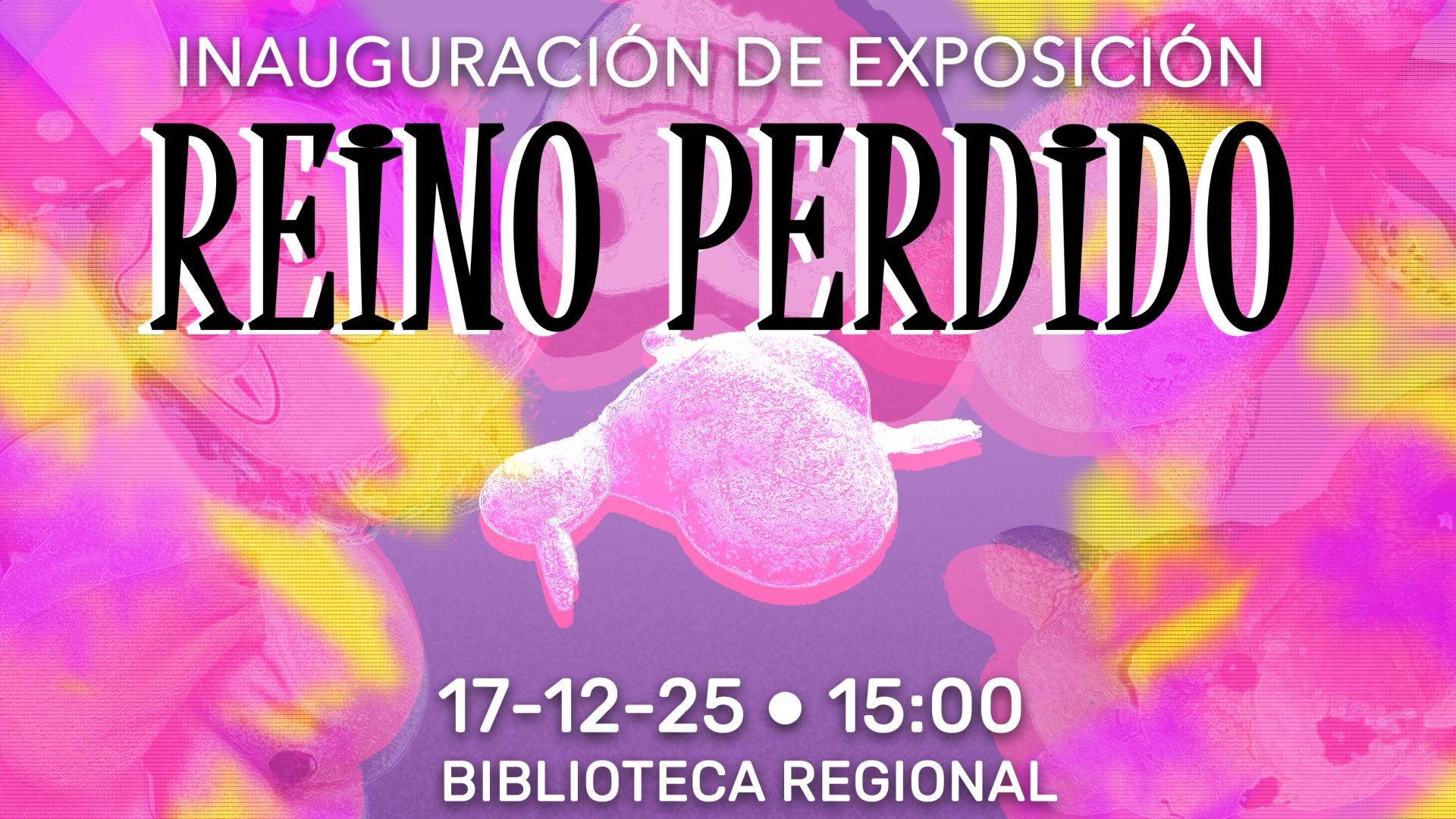 Memorias, juguetes y arte visual