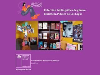 Colección bibliográfica de género Biblioteca pública Los Lagos